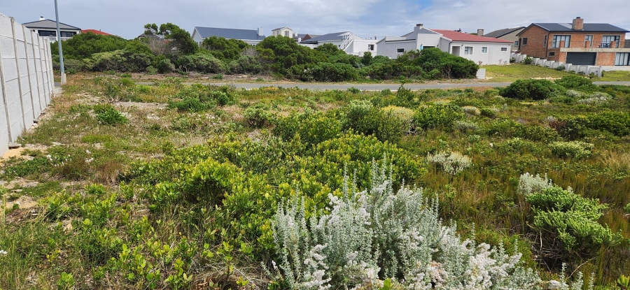 0 Bedroom Property for Sale in Agulhas Western Cape